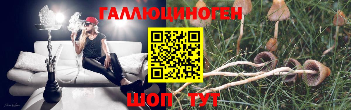 Галлюциногенные грибы Psilocybe  Псилоцибиновые грибы Cubensis  Ставрополь  Вход с VPN 