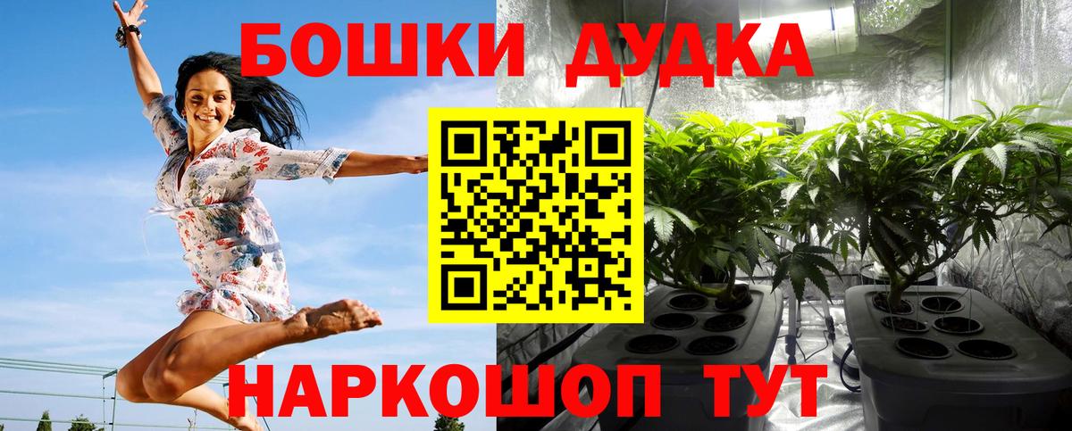 Каннабис Ganja  Вход с VPN  Каннабис Amnesia  Бошки Шишки Ganja  МАРИХУАНА конопля  Ставрополь 